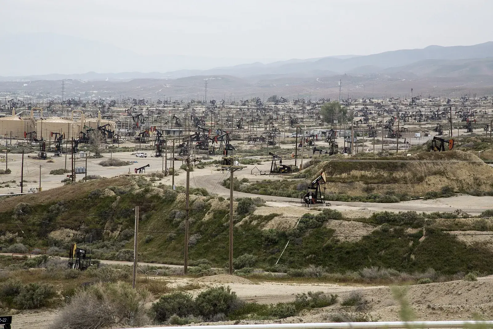 California oil field lined with pump jacks